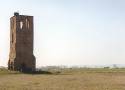 Torreón de Vega. Fresno